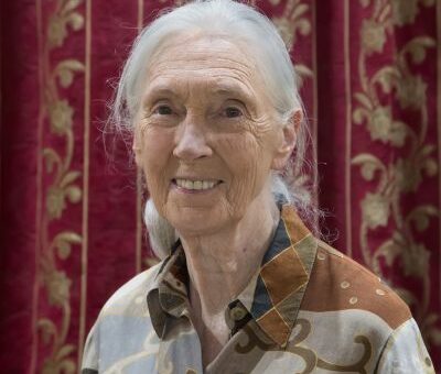  Jane Goodall