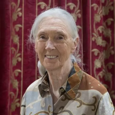  Jane Goodall