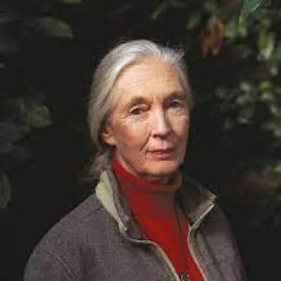  Jane Goodall